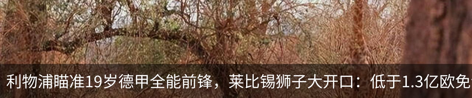 内页banner