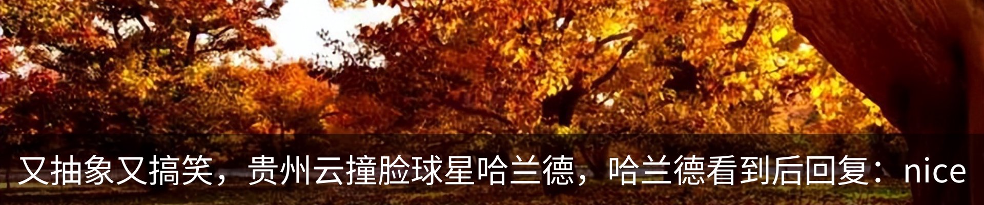 内页banner